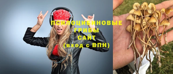 СК Абдулино